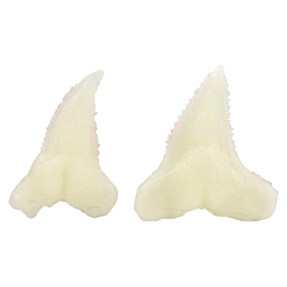 Kidzlabs/Dig Glow Shark Tooth Fossils