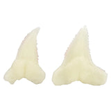 Kidzlabs/Dig Glow Shark Tooth Fossils