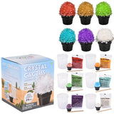 Edu-Stem Growing Crystal Cactus Kit